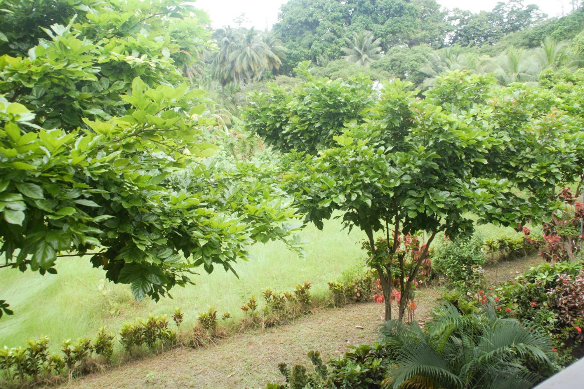 Hotel Exotica Squares Lakshmanpur Exterior photo